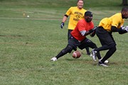 OTFL Gallery Image